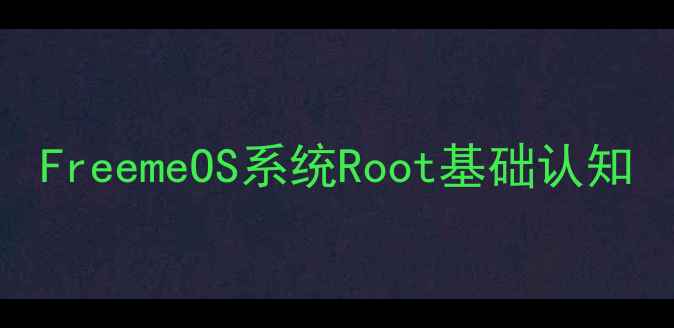 FreemeOS系统Root基础认知