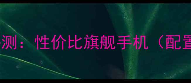 图片 OPPOR900深度评测：性价比旗舰手机（配置性能拍照全）1