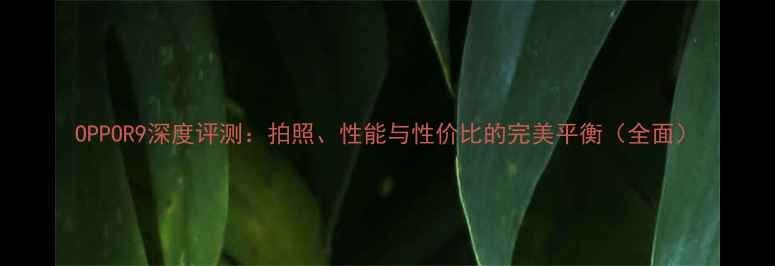 图片 OPPOR9深度评测：拍照、性能与性价比的完美平衡（全面）