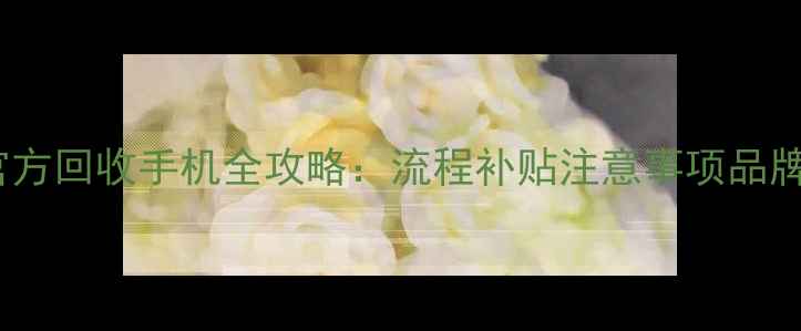 图片 OPPO官方回收手机全攻略：流程补贴注意事项品牌对比1