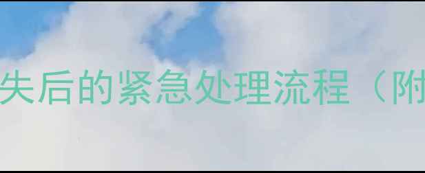 OPPO手机丢失后的紧急处理流程附操作指南