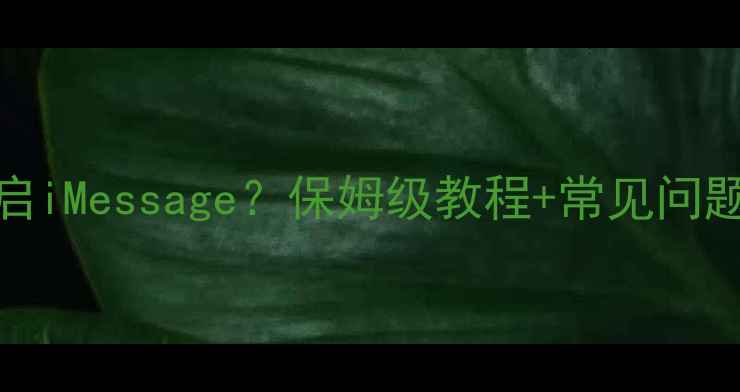 OPPO手机如何开启iMessage保姆级教程常见问题全解决附图