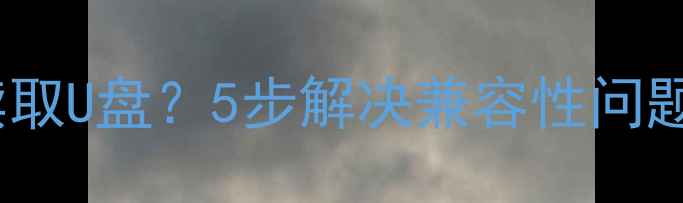 图片 OPPO手机如何读取U盘？5步解决兼容性问题（最新指南）1