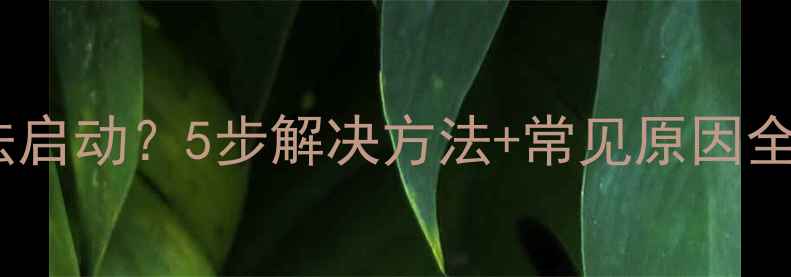 OPPO手机开机无法启动5步解决方法常见原因全附图解教程