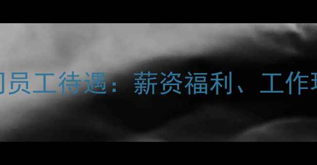 图片 OPPO摩洛哥分公司员工待遇：薪资福利、工作环境与职业发展全