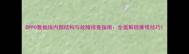 图片 OPPO数据线内部结构与故障排查指南：全面解锁维修技巧1