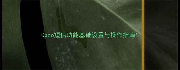 图片 Oppo短信功能基础设置与操作指南1