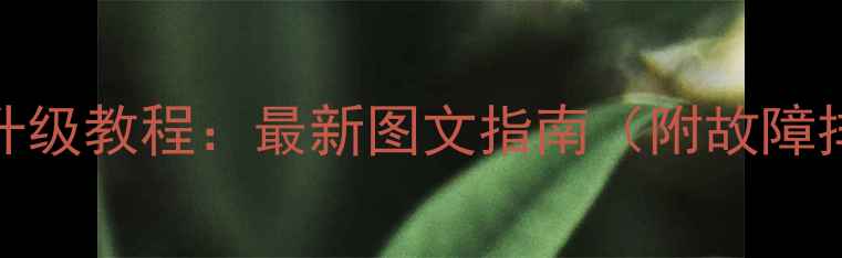 TCL手机系统升级教程最新图文指南附故障排查全攻略