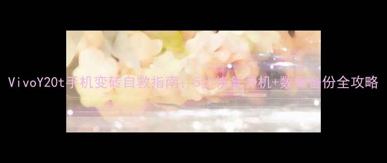 图片 VivoY20t手机变砖自救指南：5步恢复开机+数据备份全攻略