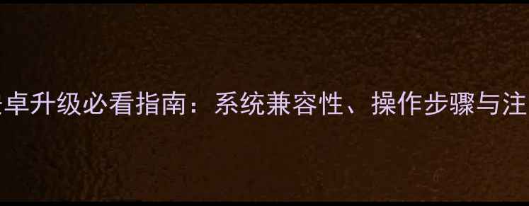 iPadPro安卓升级必看指南系统兼容性操作步骤与注意事项全