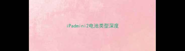 图片 iPadmini2电池类型深度