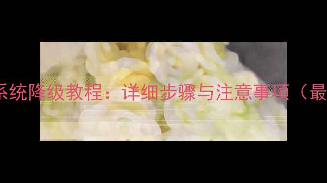 图片 iPadmini系统降级教程：详细步骤与注意事项（最新指南）1