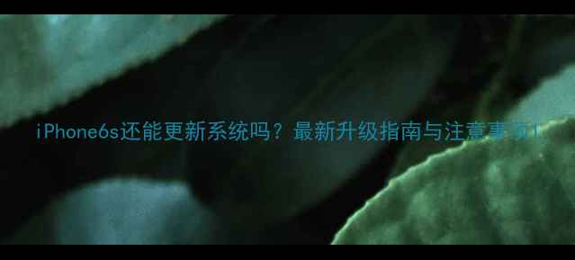图片 iPhone6s还能更新系统吗？最新升级指南与注意事项1