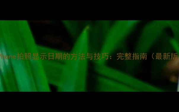 iPhone拍照显示日期的方法与技巧完整指南最新版