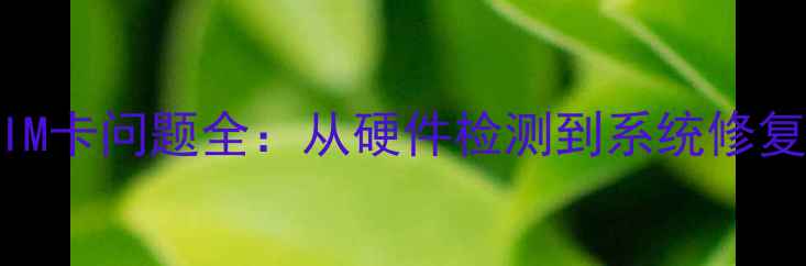 iPhone无法识别SIM卡问题全从硬件检测到系统修复的12种解决方案
