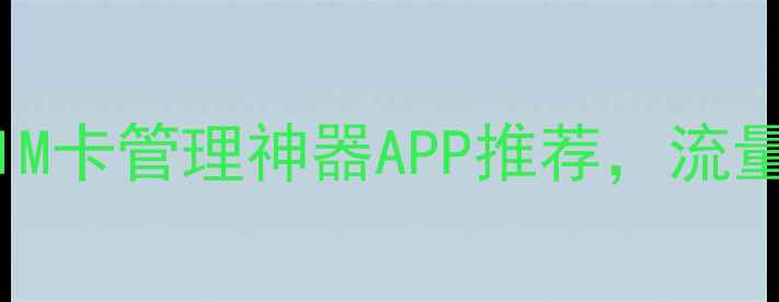 iPhone用户必看5款SIM卡管理神器APP推荐流量监控多卡切换全攻略