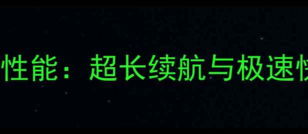 图片 lgflex25g电池性能：超长续航与极速快充的全面评测