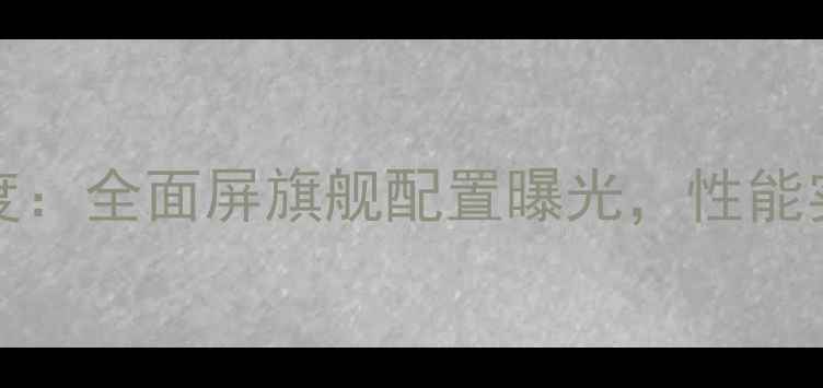 图片 vivoS21Pro深度：全面屏旗舰配置曝光，性能实测与价格预测