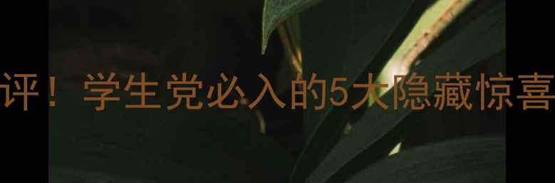 vivo体验礼盒开箱测评学生党必入的5大隐藏惊喜附赠手机配件清单