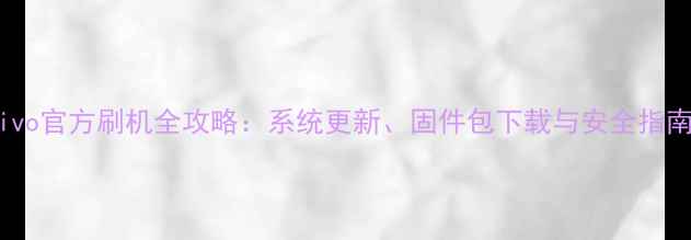 图片 vivo官方刷机全攻略：系统更新、固件包下载与安全指南1
