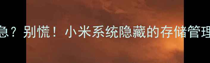 图片 ✨手机存储告急？别慌！小米系统隐藏的存储管理秘籍大公开✨
