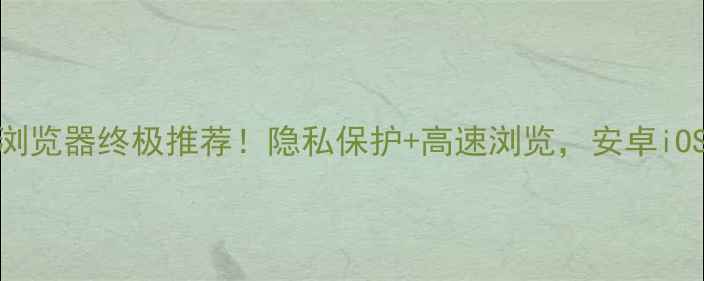 手机无痕浏览器终极推荐隐私保护高速浏览安卓iOS全适配