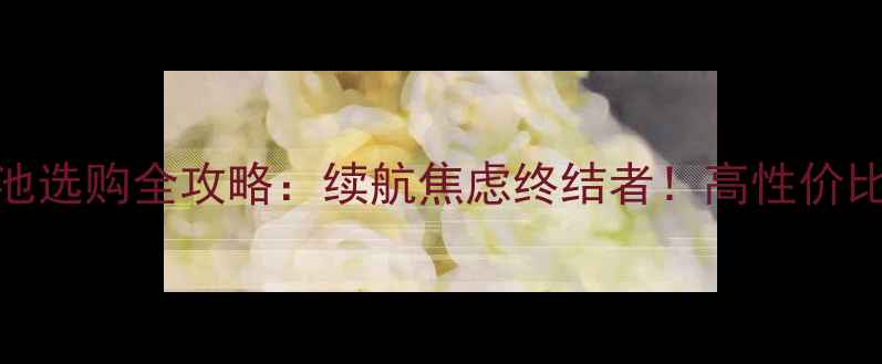 图片 ✨手机锂电池选购全攻略：续航焦虑终结者！高性价比电池推荐🔋