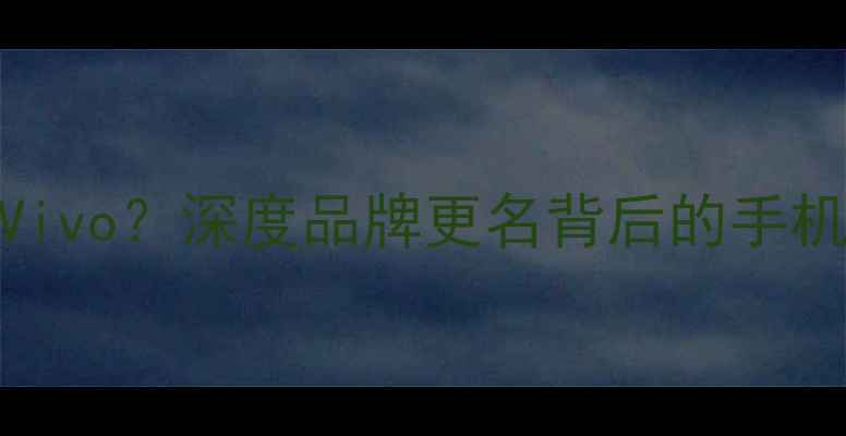 图片 ✨魅族改姓Vivo？深度品牌更名背后的手机市场博弈✨