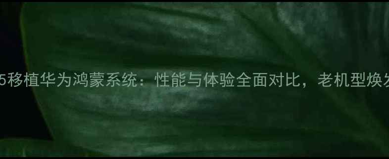 图片 三星S5移植华为鸿蒙系统：性能与体验全面对比，老机型焕发新生