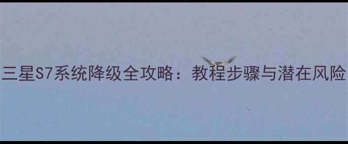 图片 三星S7系统降级全攻略：教程步骤与潜在风险