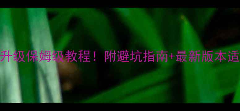 三星S8美版系统升级保姆级教程附避坑指南最新版本适配详情实测