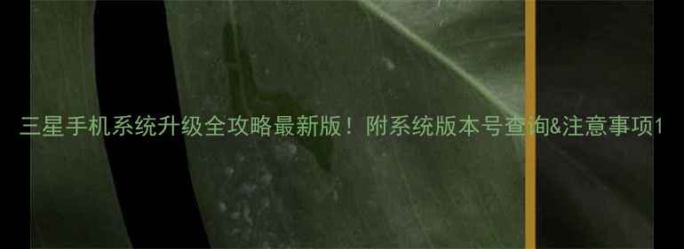 图片 三星手机系统升级全攻略最新版！附系统版本号查询&注意事项1