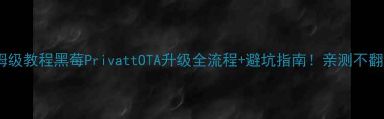 图片 保姆级教程黑莓PrivattOTA升级全流程+避坑指南！亲测不翻车1