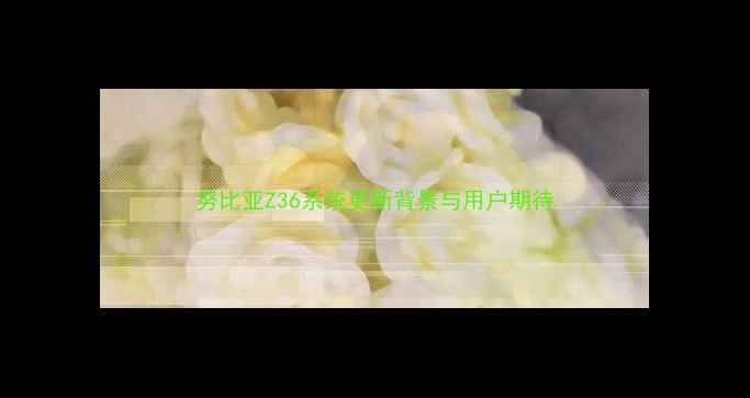 图片 努比亚Z36系统更新背景与用户期待