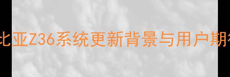 努比亚Z36系统更新背景与用户期待
