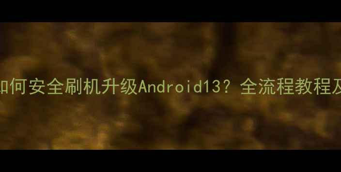 图片 努比亚Z50如何安全刷机升级Android13？全流程教程及注意事项1
