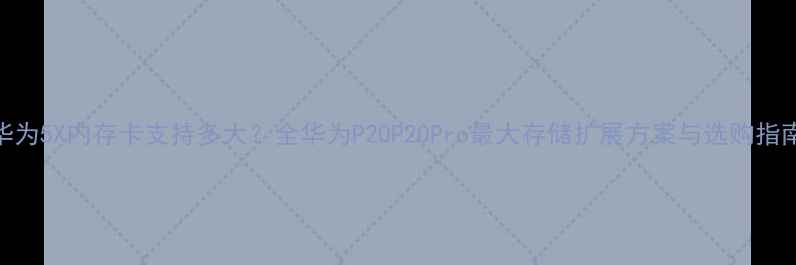 图片 华为5X内存卡支持多大？全华为P20P20Pro最大存储扩展方案与选购指南