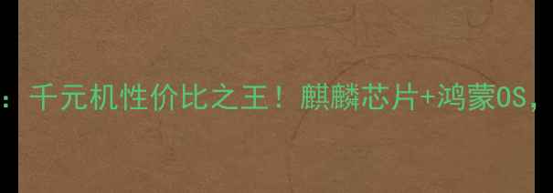图片 华为CP4630深度评测：千元机性价比之王！麒麟芯片+鸿蒙OS，这波配置我给满分💯