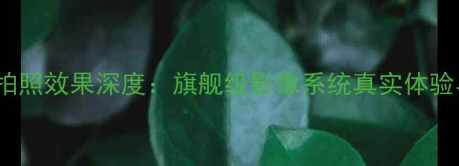 图片 华为Mate8拍照效果深度：旗舰级影像系统真实体验与选购指南