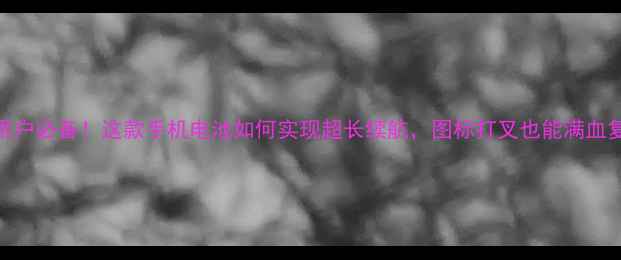 图片 南非用户必备！这款手机电池如何实现超长续航，图标打叉也能满血复活？