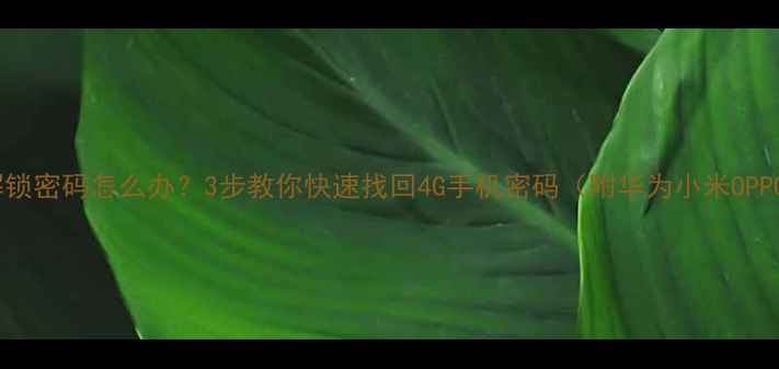 图片 四G手机忘记解锁密码怎么办？3步教你快速找回4G手机密码（附华为小米OPPO全机型攻略）