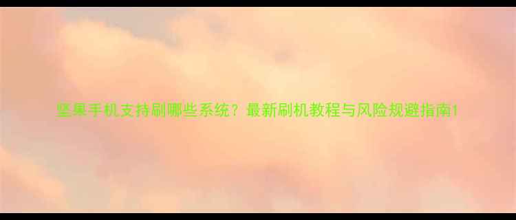 坚果手机支持刷哪些系统最新刷机教程与风险规避指南