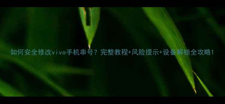 图片 如何安全修改vivo手机串号？完整教程+风险提示+设备解锁全攻略1