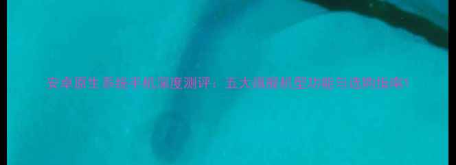 图片 安卓原生系统手机深度测评：五大旗舰机型功能与选购指南1