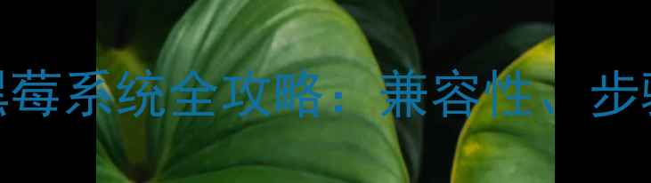 图片 安卓手机刷黑莓系统全攻略：兼容性、步骤与注意事项
