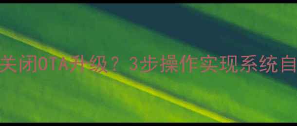 安卓手机如何彻底关闭OTA升级3步操作实现系统自由附详细教程