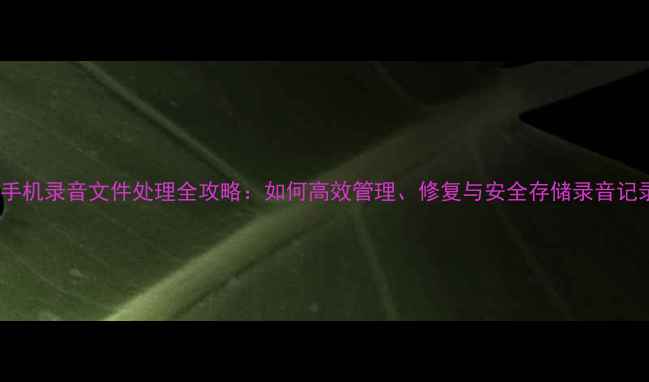 图片 安卓手机录音文件处理全攻略：如何高效管理、修复与安全存储录音记录？1