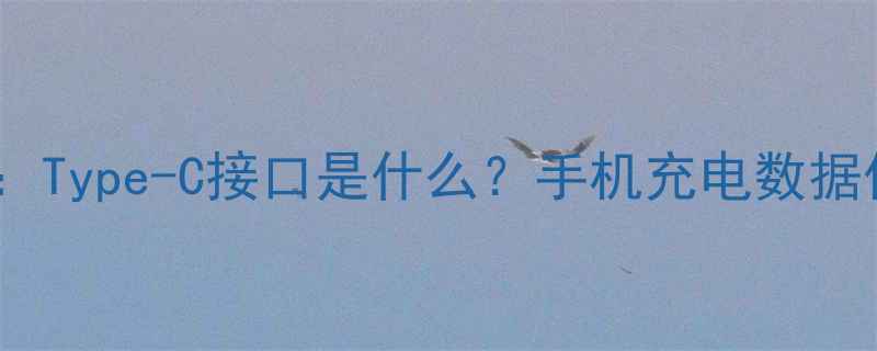 图片 安卓接口全：Type-C接口是什么？手机充电数据传输全攻略1