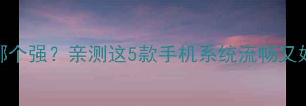 图片 安卓系统哪个强？亲测这5款手机系统流畅又好用！📱💥