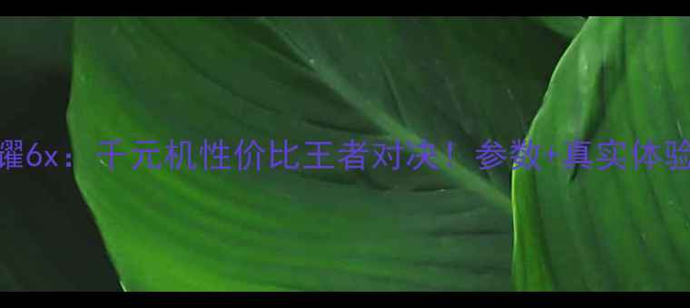小米5xvs荣耀6x千元机性价比王者对决参数真实体验全公开